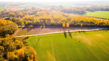 Parduodamas  sklypas Pasmilgio k., Kėdainių r. sav., 50 a ploto 4