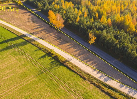 Parduodamas sklypas Pasmilgio k., Kėdainių r. sav., 50 a ploto Parduodamas sklypas Pasmilgio k., Kėdainių r. sav., 50 a ploto