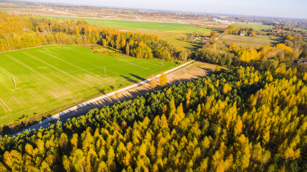 Parduodamas  sklypas Pasmilgio k., Kėdainių r. sav., 50 a ploto 3