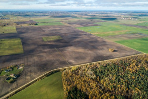 Parduodamas kitos paskirties sklypas Dvaro g., Gobergiškės k., Klaipėdos r. sav., 2300 a ploto 4