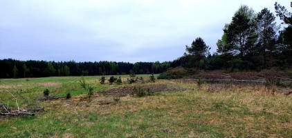 Parduodamas  sklypas Šeškučių k., Vilniaus r. sav., 279.95 a ploto 7