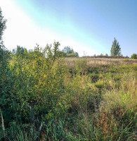 Parduodamas  sklypas Ūdrijos g., Miklusėnų k., Alytaus r. sav., 59.9 a ploto 6
