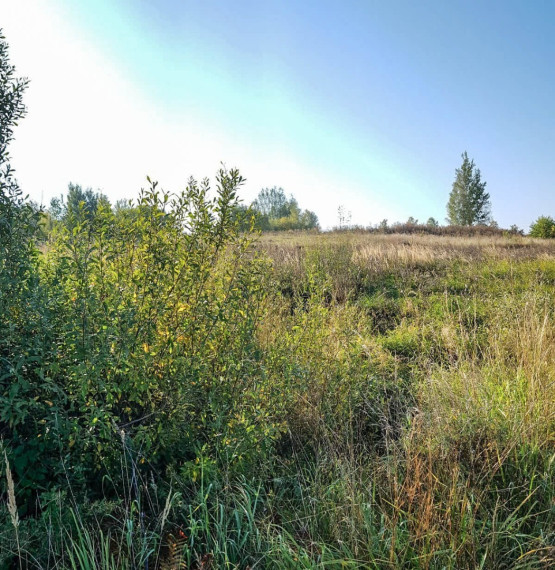 Parduodamas sklypas Ūdrijos g., Miklusėnų k., Alytaus r. sav., 59.9 a ploto 6