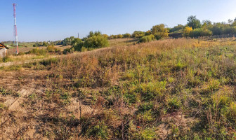 Parduodamas  sklypas Ūdrijos g., Miklusėnų k., Alytaus r. sav., 59.9 a ploto 8