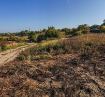Parduodamas  sklypas Ūdrijos g., Miklusėnų k., Alytaus r. sav., 59.9 a ploto 9