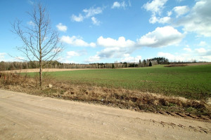 Parduodamas  sklypas Mėtų g., Marijampolio k., Vilniaus r. sav., 50 a ploto 6