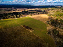 Parduodamas  sklypas Mėtų g., Marijampolio k., Vilniaus r. sav., 50 a ploto 13