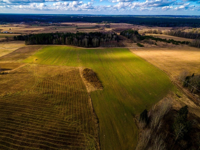 Parduodamas  sklypas Mėtų g., Marijampolio k., Vilniaus r. sav., 50 a ploto 14