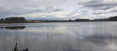 Parduodamas  sklypas Salinių k., Zarasų r. sav., 460 a ploto 2