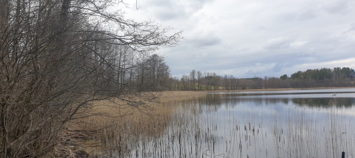 Parduodamas sklypas Salinių k., Zarasų r. sav., 460 a ploto 3