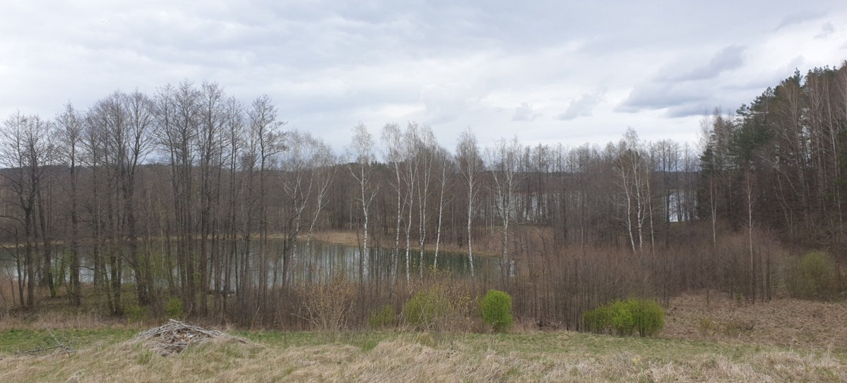 Parduodamas sklypas Salinių k., Zarasų r. sav., 460 a ploto 4