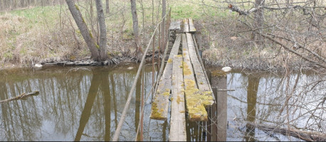 Parduodamas  sklypas Salinių k., Zarasų r. sav., 460 a ploto 5