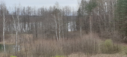 Parduodamas  sklypas Salinių k., Zarasų r. sav., 460 a ploto 7