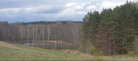 Parduodamas  sklypas Salinių k., Zarasų r. sav., 460 a ploto 8