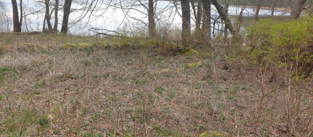 Parduodamas  sklypas Salinių k., Zarasų r. sav., 460 a ploto 9