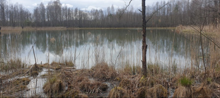 Parduodamas  sklypas Salinių k., Zarasų r. sav., 460 a ploto 10