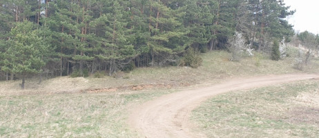 Parduodamas  sklypas Salinių k., Zarasų r. sav., 460 a ploto 11