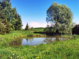 Parduodamas namas Maciūnų k., Švenčionių r. sav., 62 m2 ploto, 1 aukštai 19