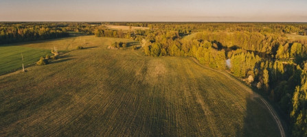 Parduodamas  sklypas Beržų k., Jonavos r. sav., 131 a ploto 5