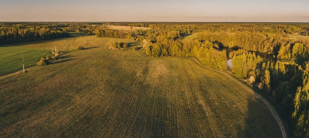 Parduodamas sklypas Beržų k., Jonavos r. sav., 131 a ploto 5