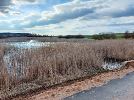Parduodamas  sklypas Bartkuškio k., Širvintų r. sav., 62 a ploto 12