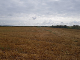Parduodamas  sklypas Vandžiogalos k., Kauno r. sav., 127 a ploto 1