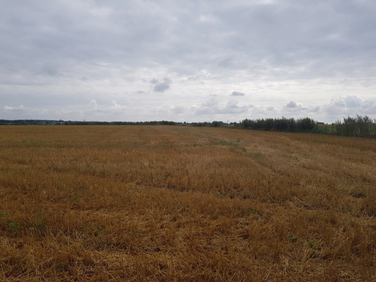 Parduodamas sklypas Vandžiogalos k., Kauno r. sav., 127 a ploto 1