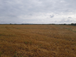 Parduodamas  sklypas Vandžiogalos k., Kauno r. sav., 127 a ploto 2