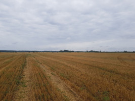 Parduodamas  sklypas Vandžiogalos k., Kauno r. sav., 127 a ploto 4