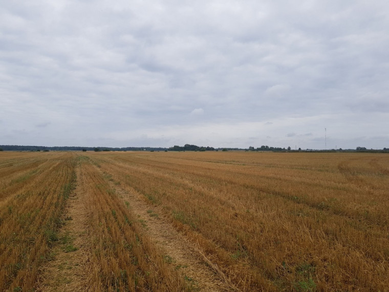 Parduodamas sklypas Vandžiogalos k., Kauno r. sav., 127 a ploto 4