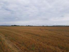 Parduodamas  sklypas Vandžiogalos k., Kauno r. sav., 127 a ploto 5