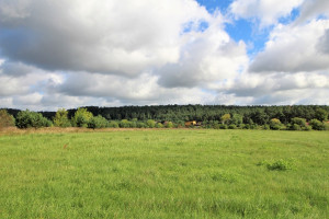 Parduodamas kitos paskirties sklypas Sėkmės, Kulautuvos mstl., Kauno r. sav., 15 a ploto 9