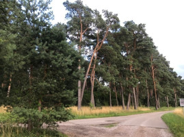 Parduodamas kitos paskirties sklypas Sėkmės, Kulautuvos mstl., Kauno r. sav., 15 a ploto 11