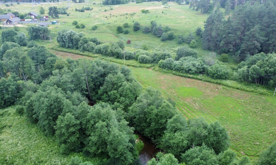 Parduodamas žemės ūkio paskirties sklypas Bažnyčios g. 41, Pučkalaukio k., Vilniaus r. sav., 289 a ploto 10