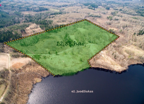 Parduodamas  sklypas Petrauskų k., Trakų r. sav., 1288 a ploto