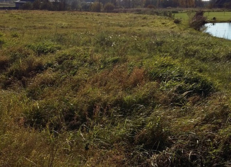 Parduodamas  sklypas Slėnio, Žaunieriškių k., Alytaus r. sav., 12.94 a ploto