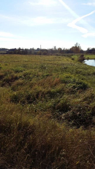 Parduodamas  sklypas Slėnio, Žaunieriškių k., Alytaus r. sav., 12.94 a ploto 1