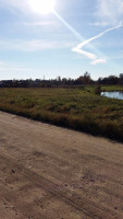 Parduodamas  sklypas Slėnio, Žaunieriškių k., Alytaus r. sav., 12.94 a ploto 2