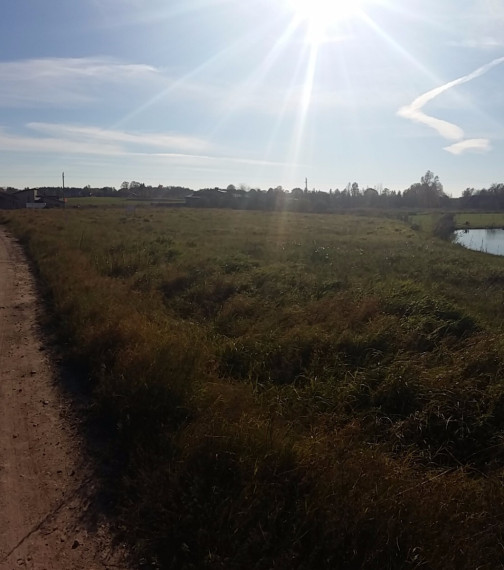 Parduodamas  sklypas Slėnio, Žaunieriškių k., Alytaus r. sav., 12.94 a ploto 3