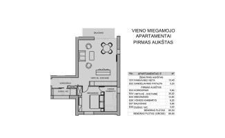 Parduodamas butas Ežeraičių g., Ežeraičių k., Vilniaus r. sav., 61.33 m2 ploto, 2 kambariai 11