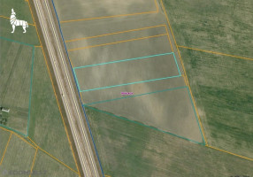 Parduodamas  sklypas Laukų g.5, Bernotiškių k., Ukmergės r. sav., 135 a ploto 11