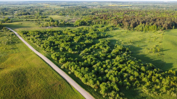 Parduodamas kitos paskirties sklypas Medinų k., Kaišiadorių r. sav., 3663 a ploto 7