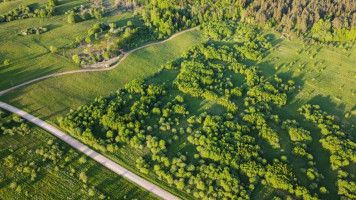 Parduodamas kitos paskirties sklypas Medinų k., Kaišiadorių r. sav., 3663 a ploto 10