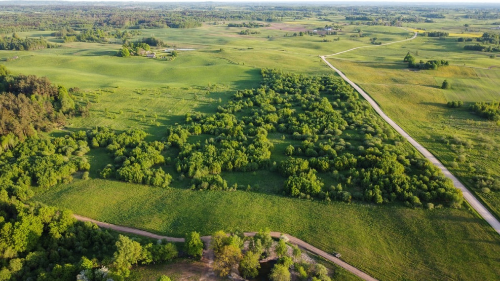 Parduodamas kitos paskirties sklypas Medinų k., Kaišiadorių r. sav., 3663 a ploto 13