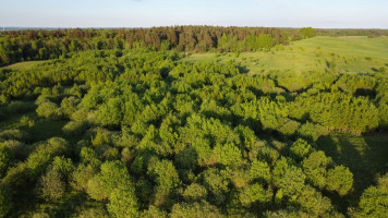 Parduodamas kitos paskirties sklypas Medinų k., Kaišiadorių r. sav., 3663 a ploto 17