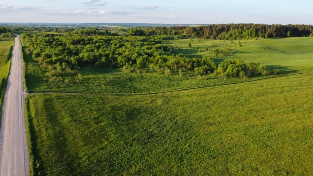 Parduodamas kitos paskirties sklypas Medinų k., Kaišiadorių r. sav., 3663 a ploto 20