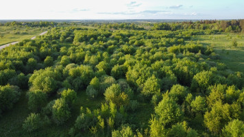 Parduodamas kitos paskirties sklypas Medinų k., Kaišiadorių r. sav., 3663 a ploto 22