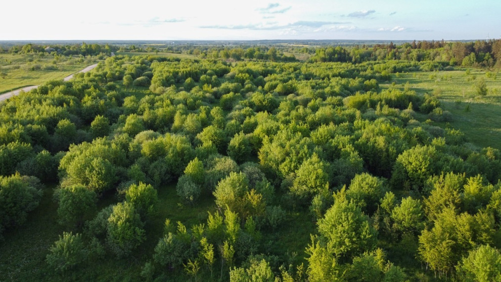 Parduodamas kitos paskirties sklypas Medinų k., Kaišiadorių r. sav., 3663 a ploto 22