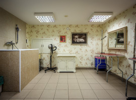 Parduodamos administracinės, gamybinės, kitos paskirties, maitinimo patalpos S. Šimkaus g., Senamiestis, Klaipėdos m., Klaipėdos m. sav., 64.68 m2 ploto 7