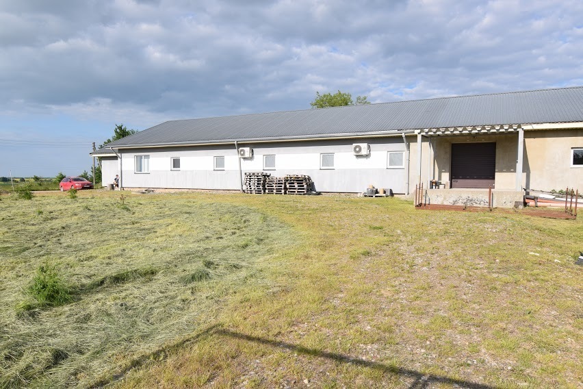 Parduodamos kitos paskirties patalpos Zviniškių k., Marijampolės sav., 781 m2 ploto 20
